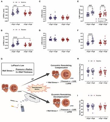 Nicotine and novel tobacco products drive adverse cardiac remodeling and dysfunction in preclinical studies